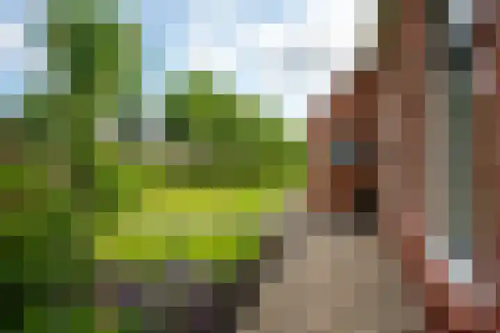 Mûnewei 16 Easternijtsjerk thumbnail 49