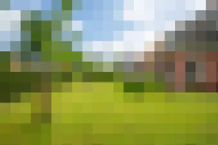 Mûnewei 16 Easternijtsjerk thumbnail 50