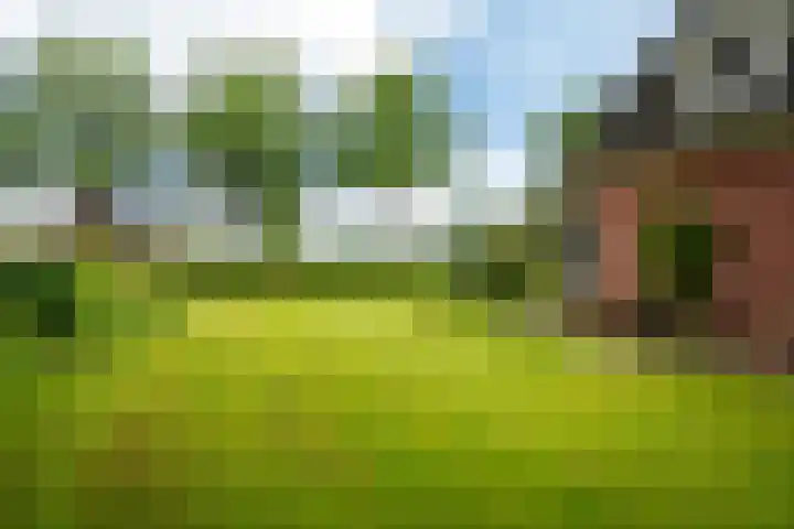 Mûnewei 16 Easternijtsjerk thumbnail 52