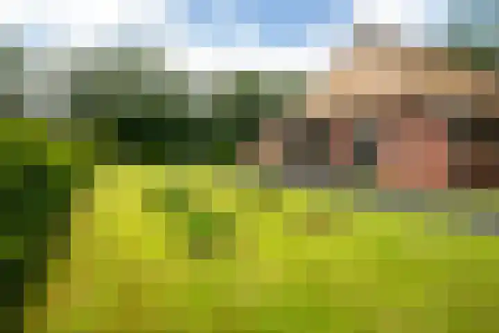 Mûnewei 16 Easternijtsjerk thumbnail 54