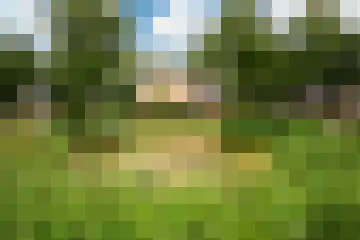 Mûnewei 16 Easternijtsjerk thumbnail 56