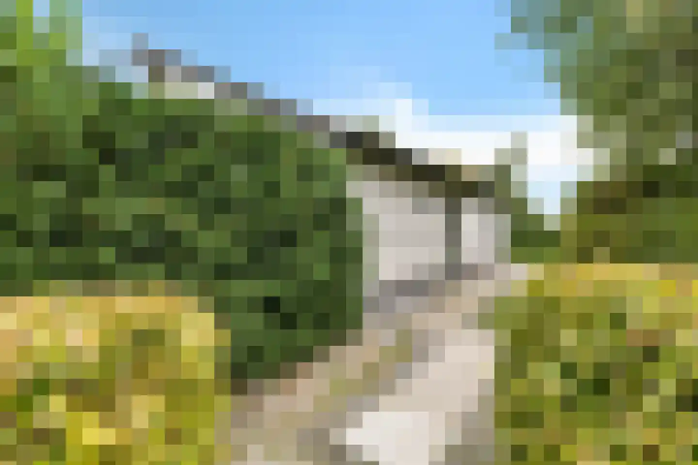Munkedyk 2 C Gaastmeer thumbnail 12