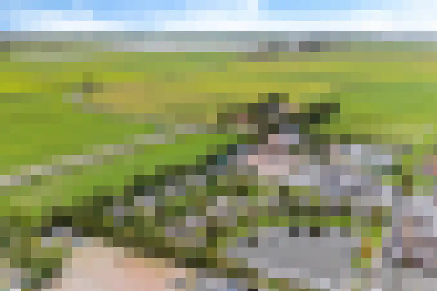 Munkedyk 2 C Gaastmeer thumbnail 34