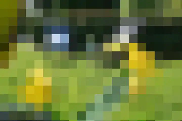 Munkedyk 2 F Gaastmeer thumbnail 10