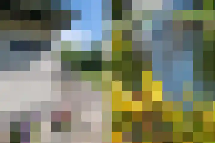 Munkedyk 2 F Gaastmeer thumbnail 11