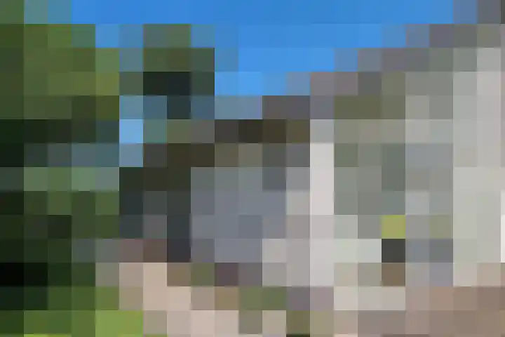 Munkedyk 2 F Gaastmeer thumbnail 12