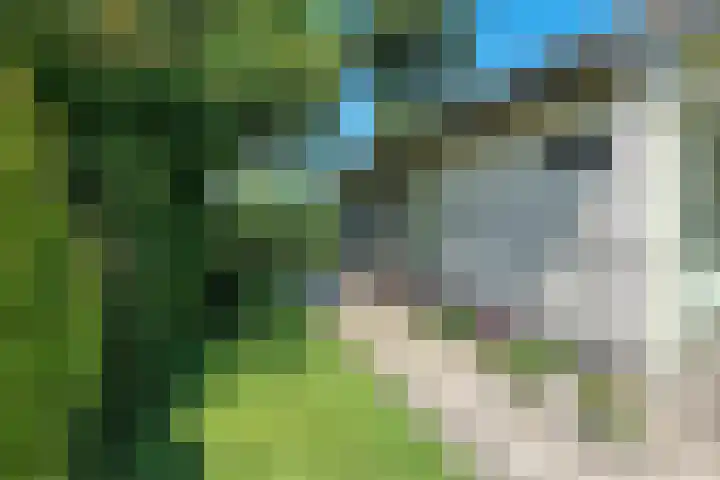 Munkedyk 2 F Gaastmeer thumbnail 13