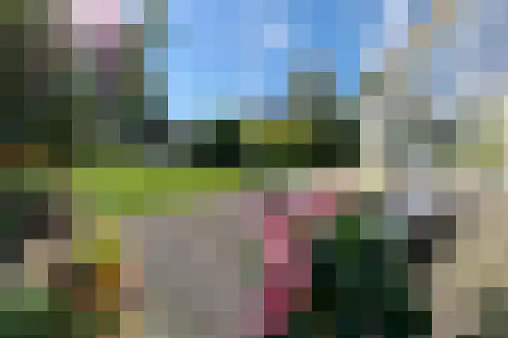 Munkedyk 2 F Gaastmeer thumbnail 14