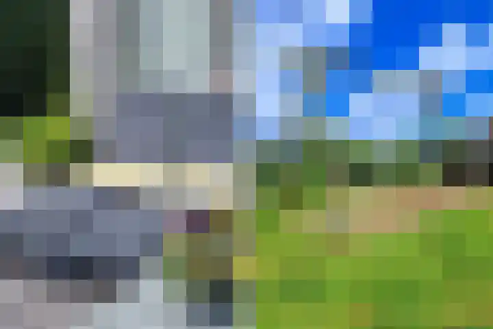 Munkedyk 2 F Gaastmeer thumbnail 15