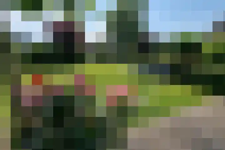 Munkedyk 2 F Gaastmeer thumbnail 16
