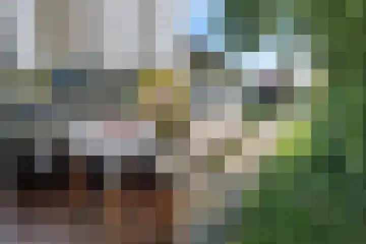 Munkedyk 2 F Gaastmeer thumbnail 6