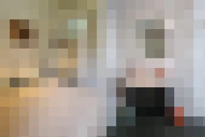 Munkedyk 2 F Gaastmeer thumbnail 7