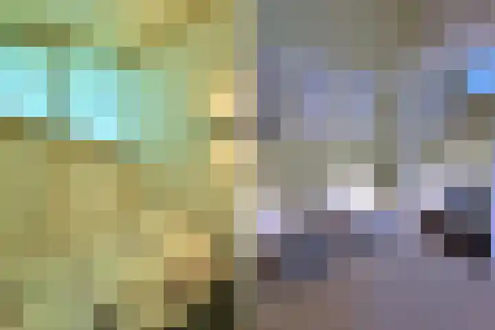 Munkedyk 2 F Gaastmeer thumbnail 8