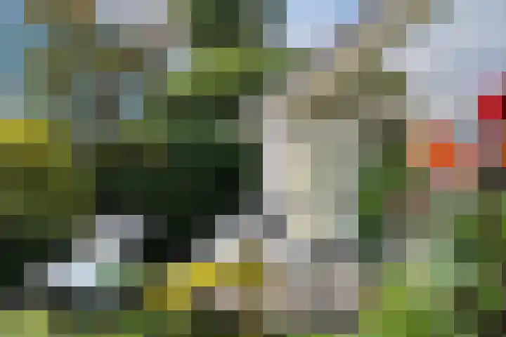 Munkedyk 2 F Gaastmeer thumbnail 9