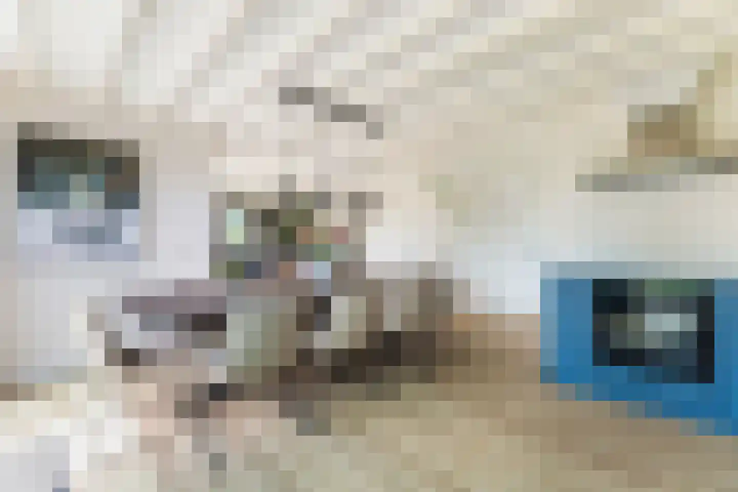 Munkedyk 2 S Gaastmeer thumbnail 20