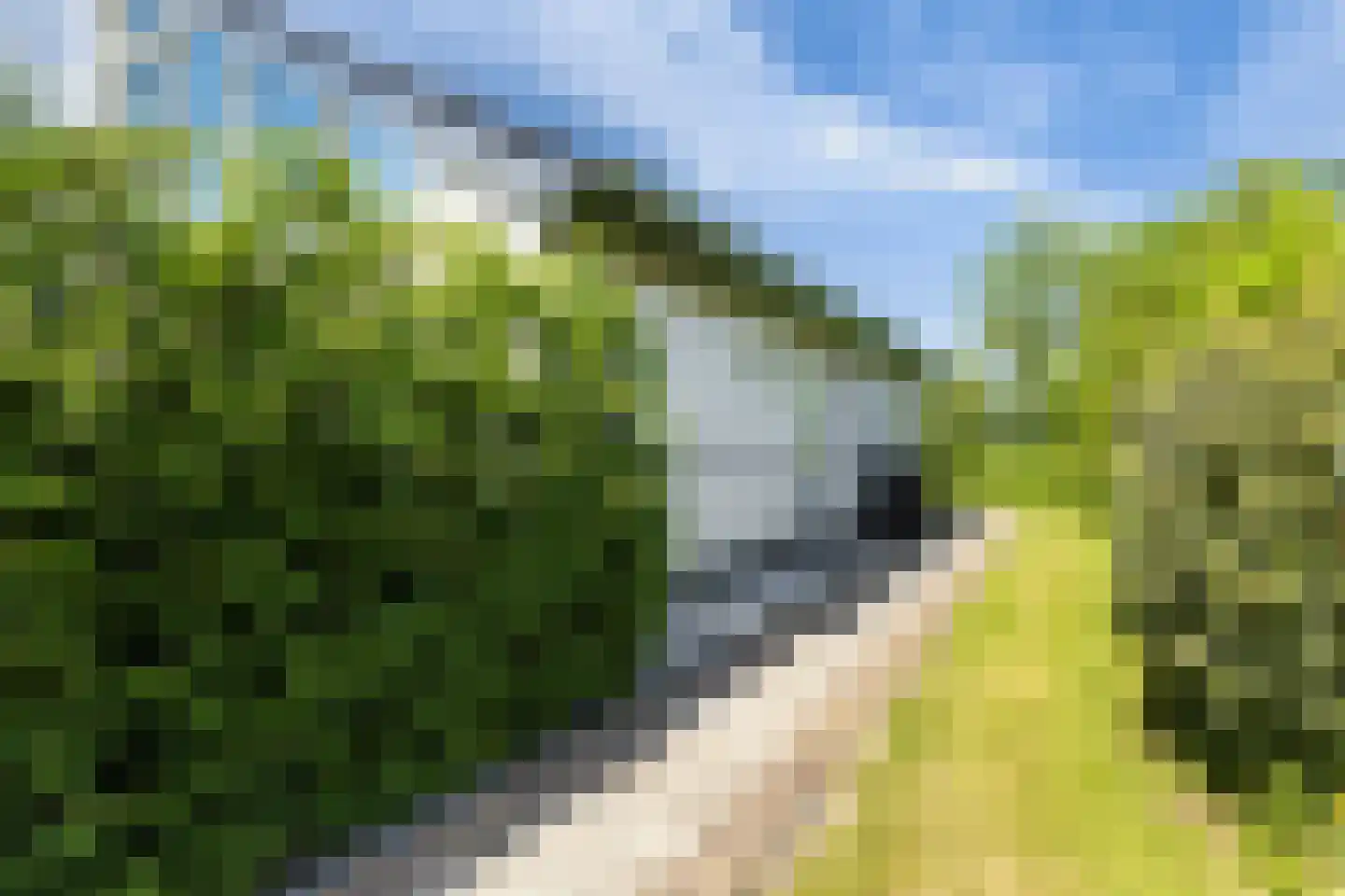 Munkedyk 2 S Gaastmeer thumbnail 46