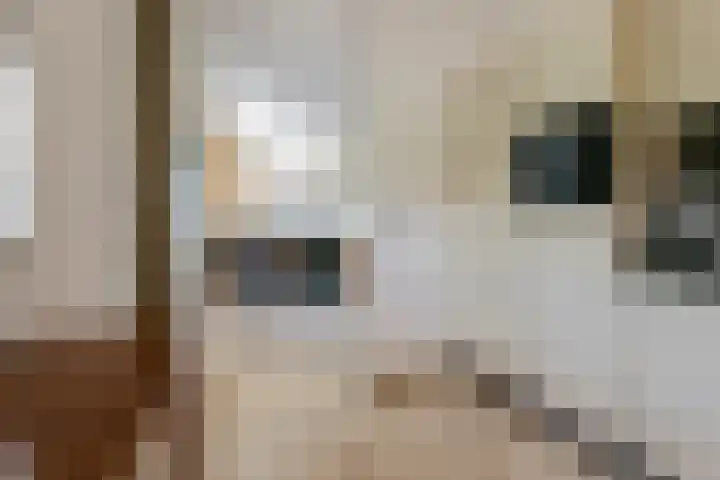 Munnekeburenstraat 120 Tilburg thumbnail 9