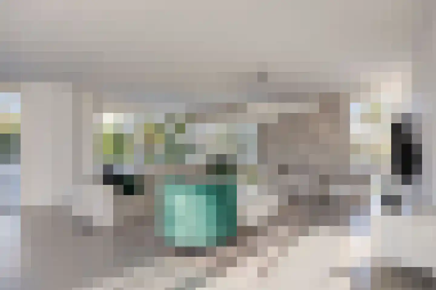Munnekeburenstraat 2 Tilburg thumbnail 11