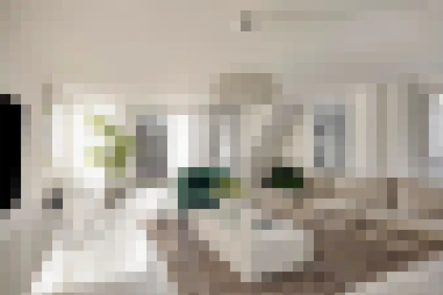 Munnekeburenstraat 2 Tilburg thumbnail 12