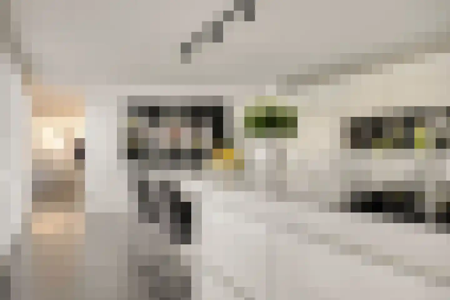 Munnekeburenstraat 2 Tilburg thumbnail 16