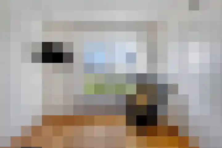 Munnekeburenstraat 22 Tilburg thumbnail 18