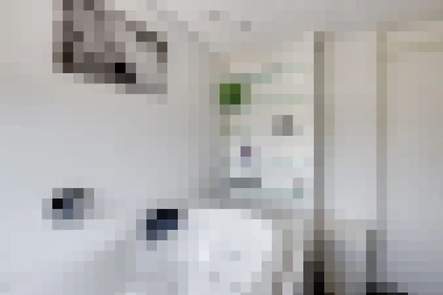 Munnekeburenstraat 48 Tilburg thumbnail 47