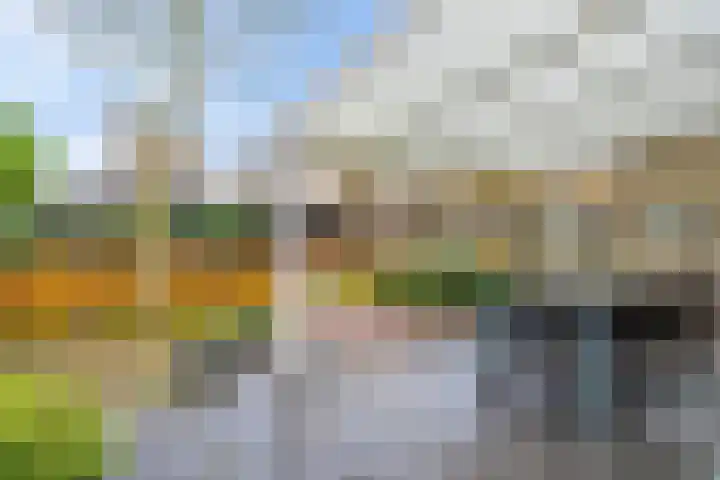 Munnekeburenstraat 5 Tilburg thumbnail 39