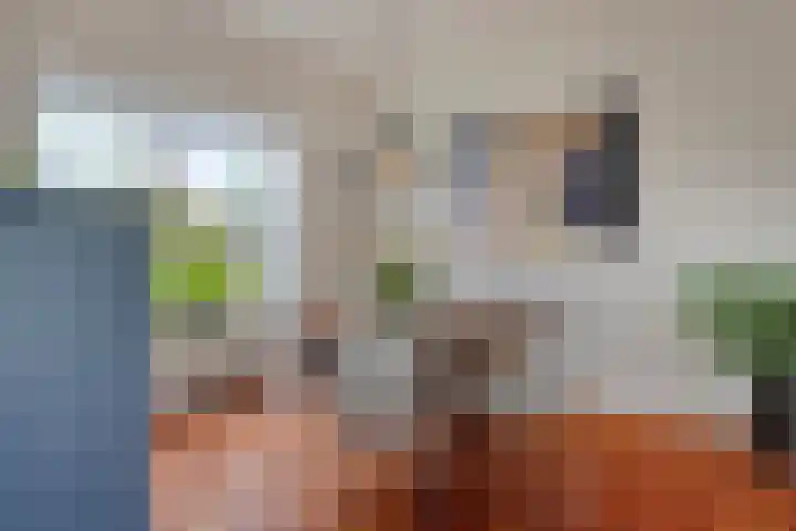 Munnekeburenstraat 98 Tilburg thumbnail 15