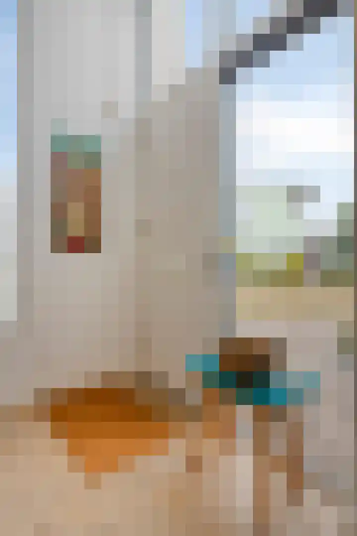 Munnekeburenstraat 98 Tilburg thumbnail 4