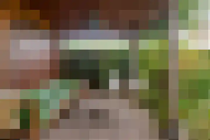 Munnekeburenstraat 98 Tilburg thumbnail 41