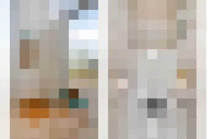 Munnekeburenstraat 98 Tilburg thumbnail 5