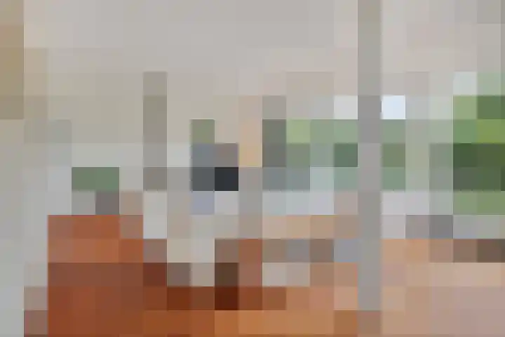 Munnekeburenstraat 98 Tilburg thumbnail 7