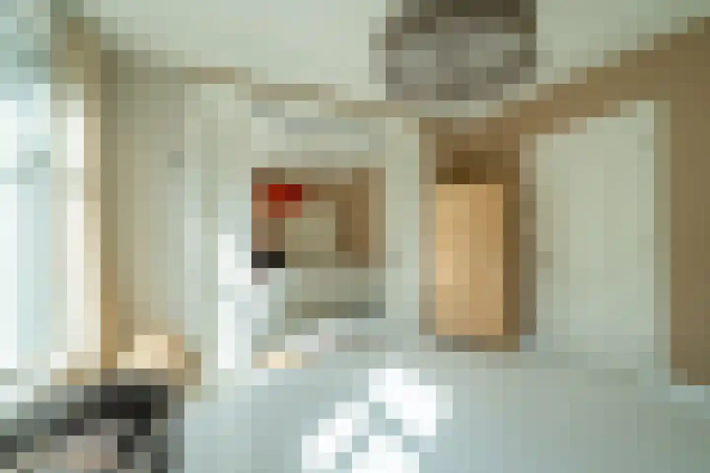 Munnekeholm 12 Groningen thumbnail 5