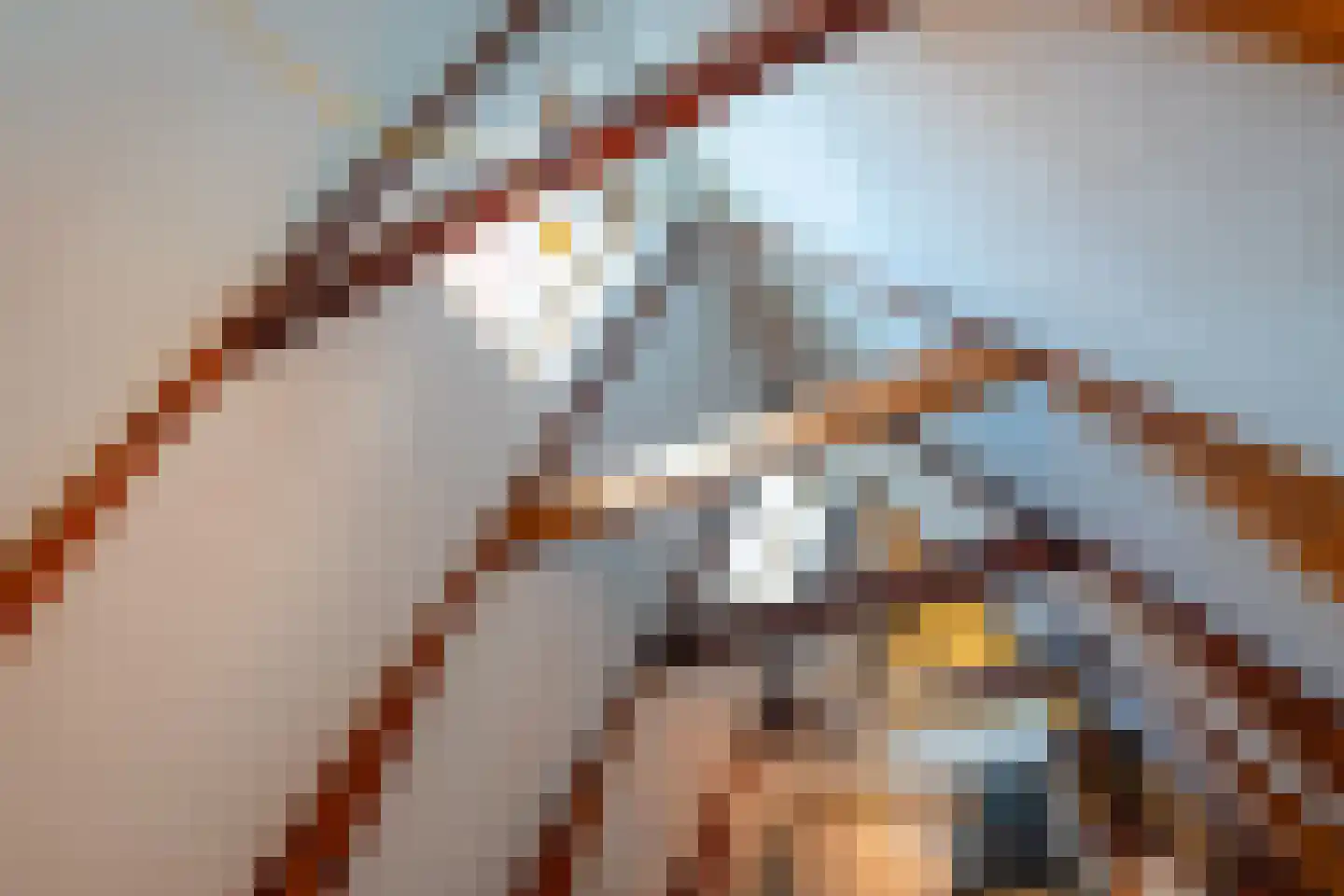 Munnekeholm 12 Groningen thumbnail 60