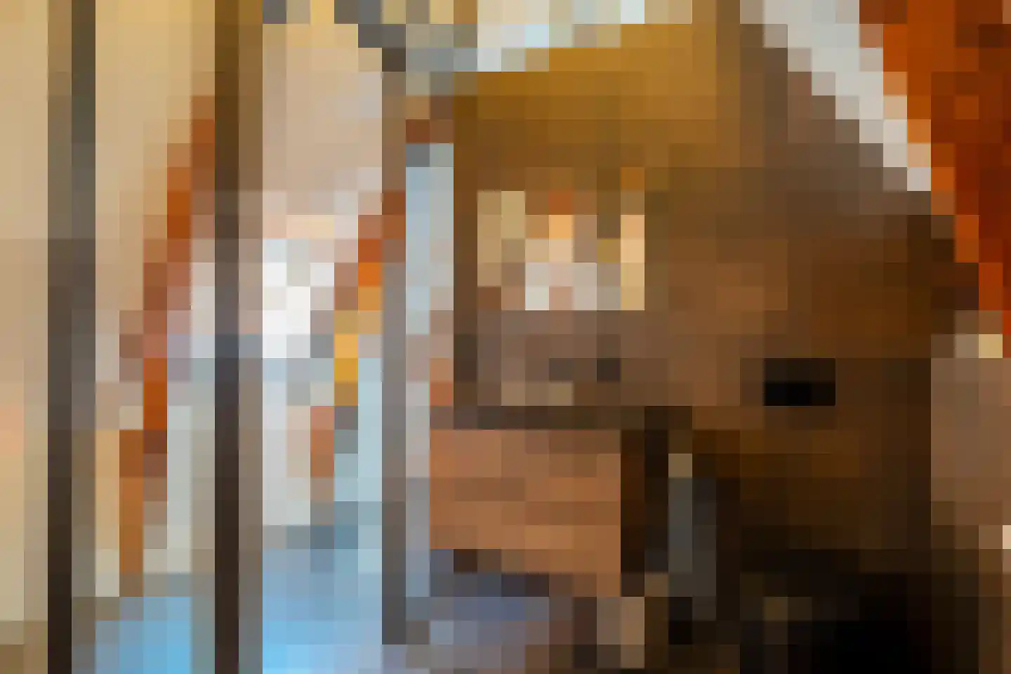 Munnekeholm 12 Groningen thumbnail 66