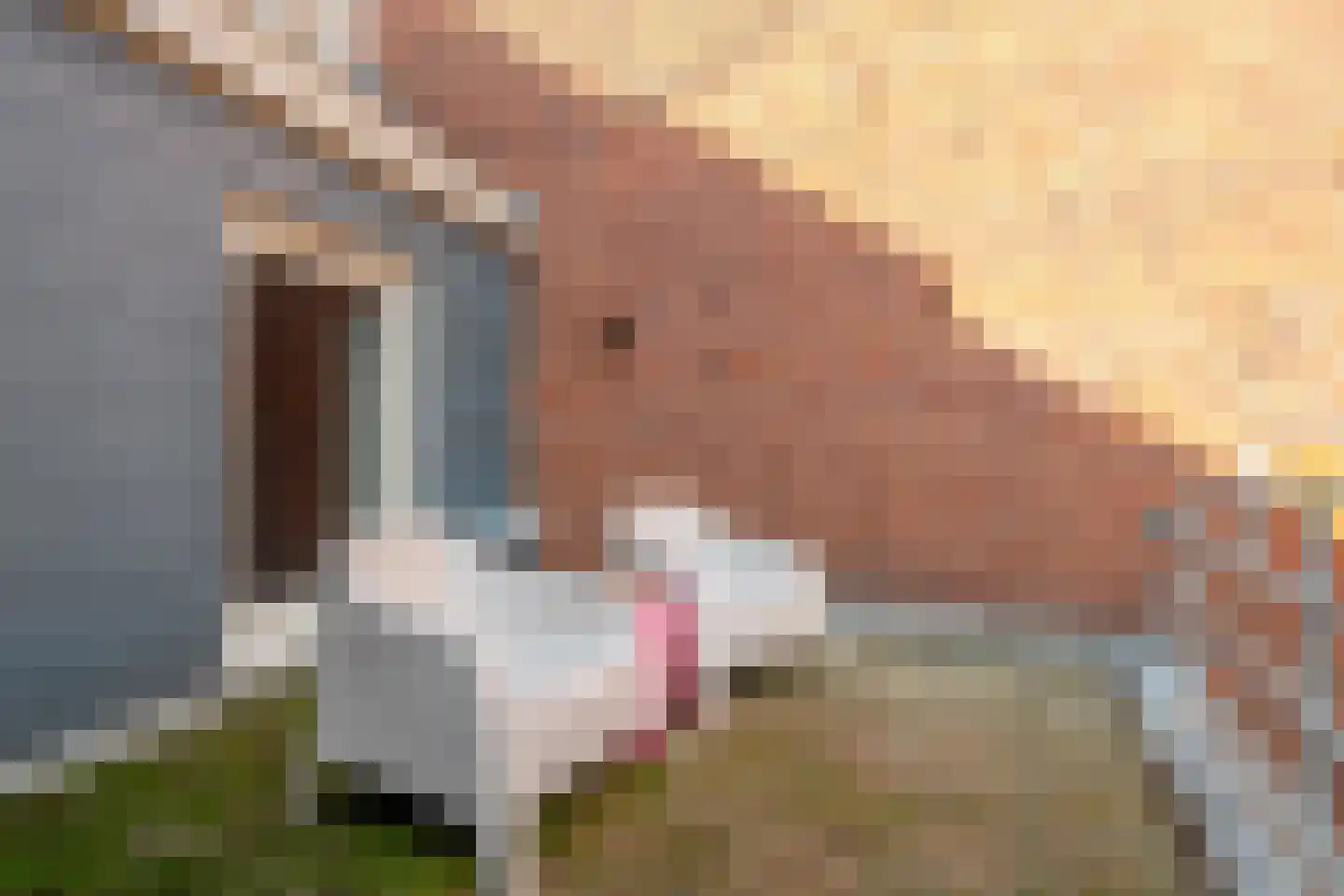 Munnekeholm 12 Groningen thumbnail 67