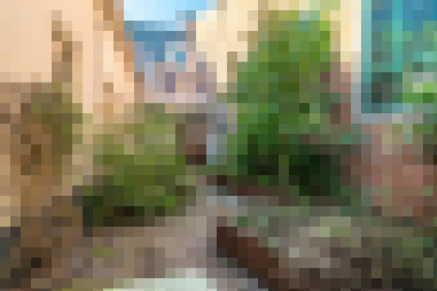Munnekeholm 12 Groningen thumbnail 81