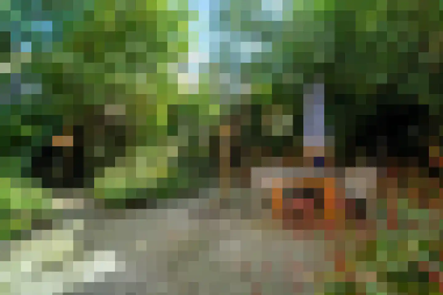 Munnekeholm 12 Groningen thumbnail 91