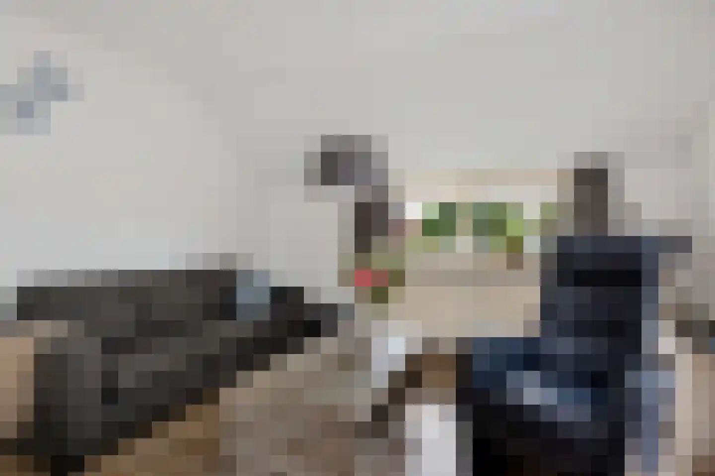 Munnekemoer Oost 21 Ter Apel thumbnail 20