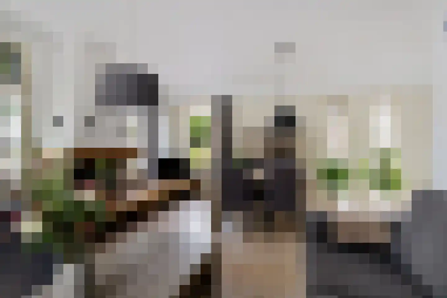 Munnekemoer Oost 21 Ter Apel thumbnail 23