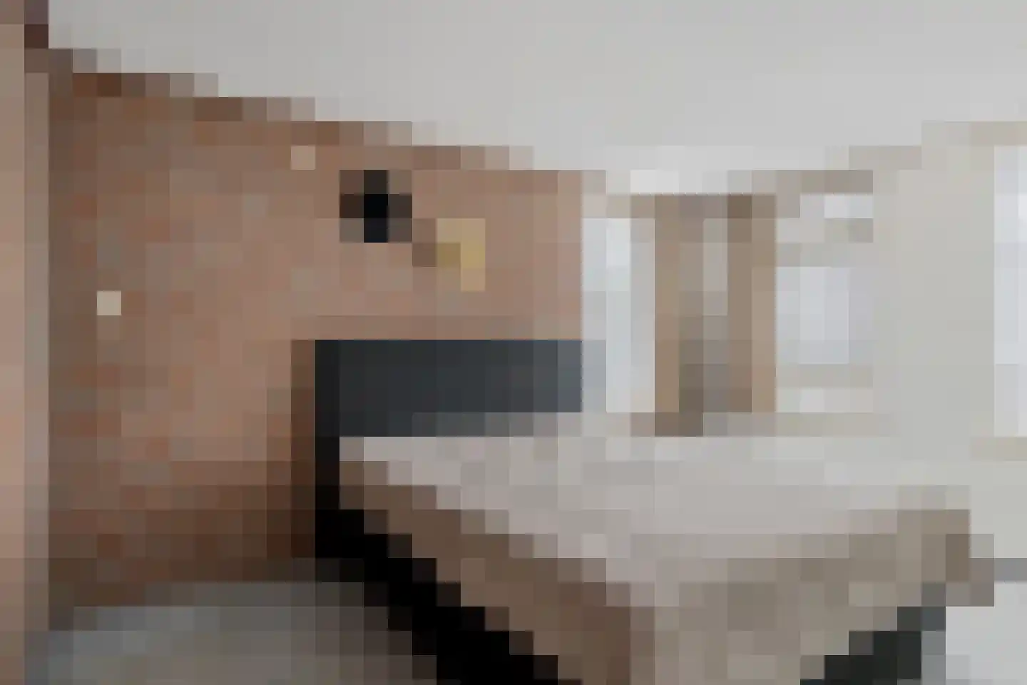 Munnekemoer Oost 21 Ter Apel thumbnail 31