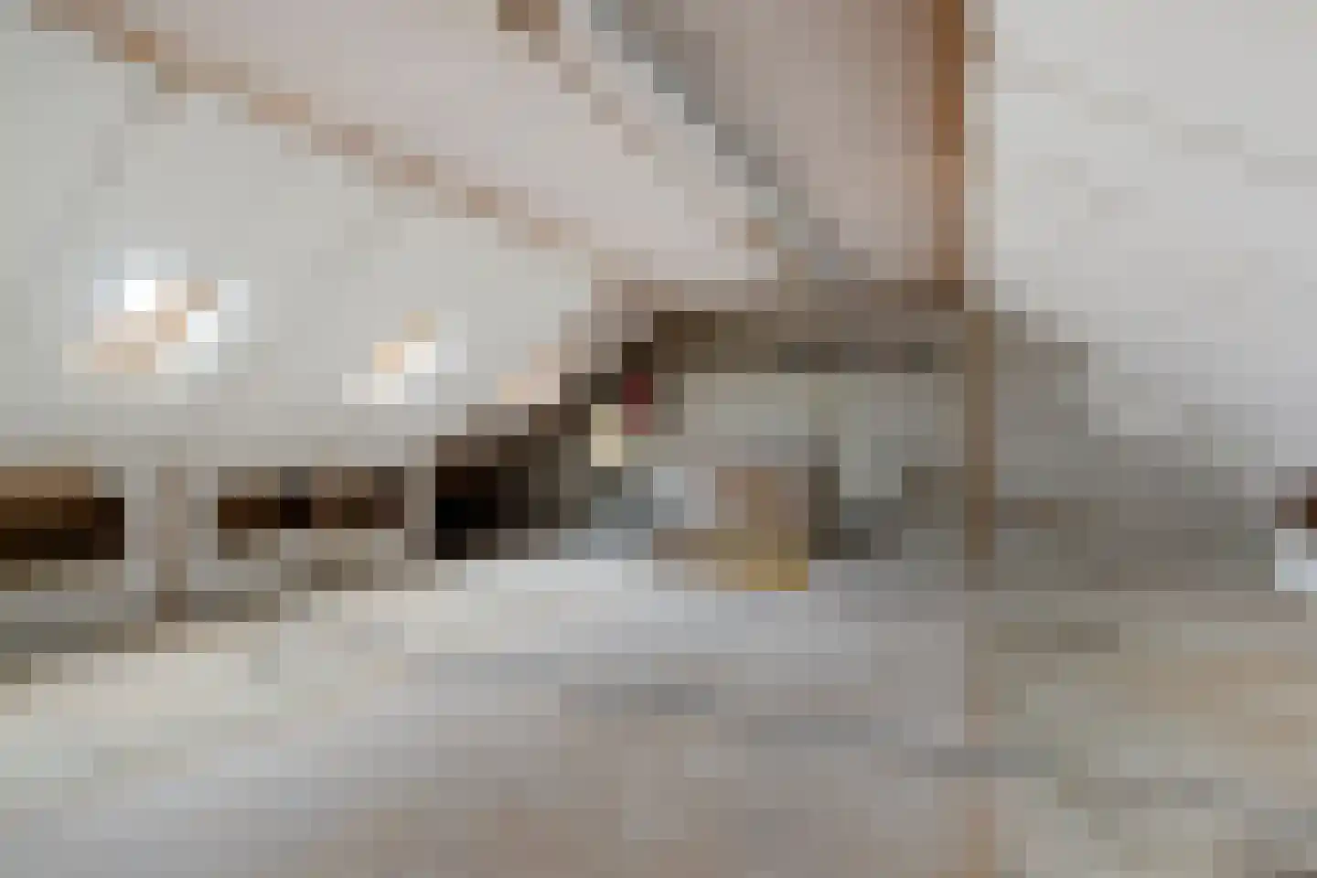 Munnekemoer Oost 21 Ter Apel thumbnail 36