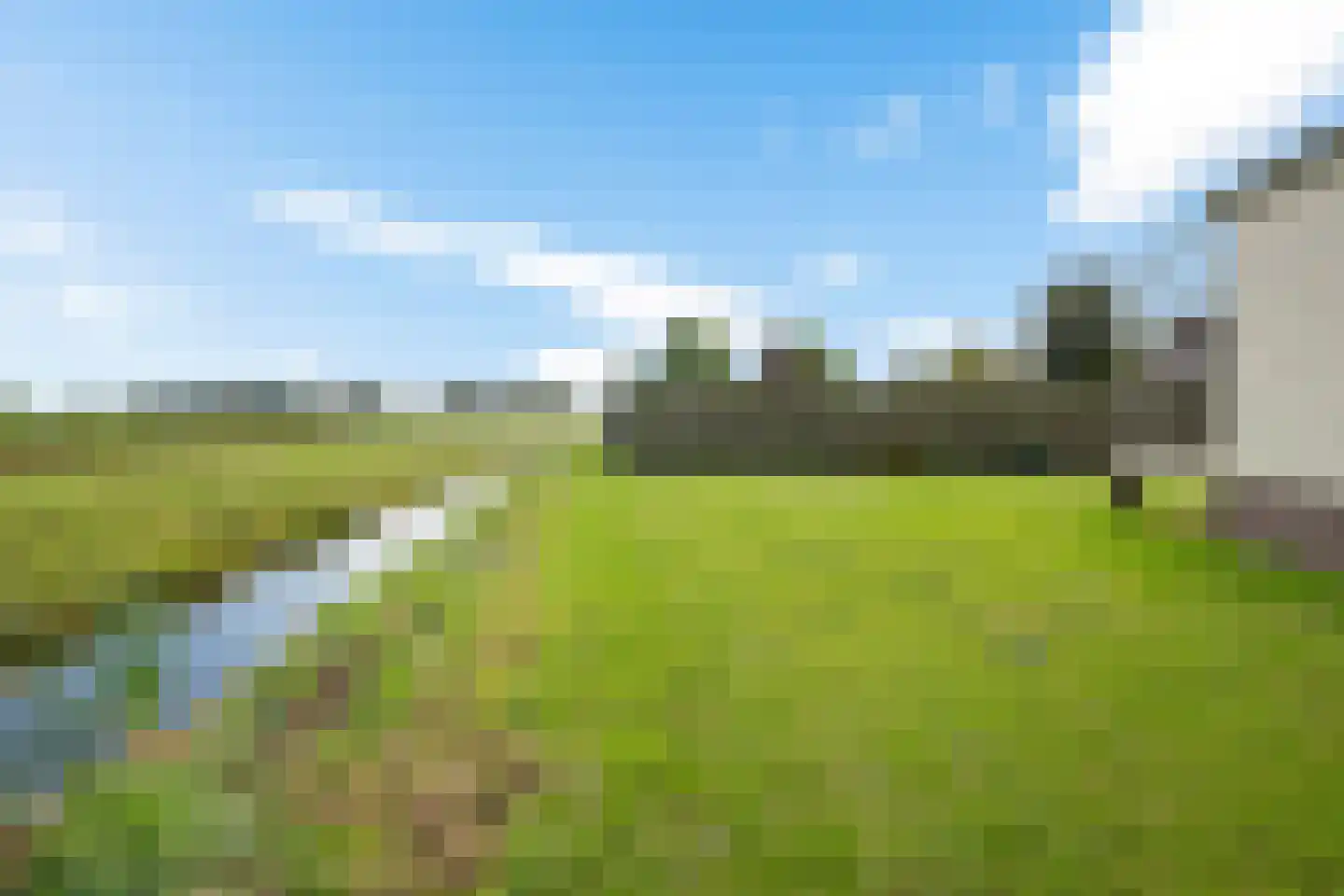Munnekemoer Oost 21 Ter Apel thumbnail 43