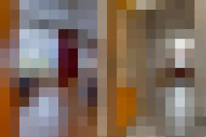 Munnekemoer Oost 3 Ter Apel thumbnail 12