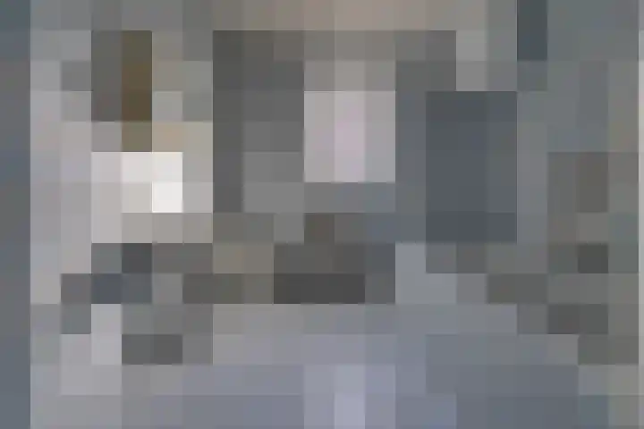 Munnekemoer Oost 3 Ter Apel thumbnail 17