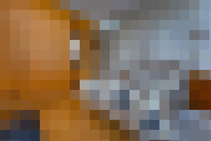 Munnekemoer Oost 3 Ter Apel thumbnail 21