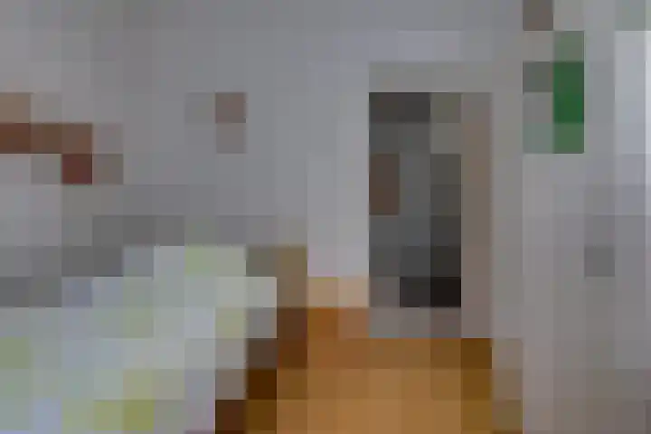 Munnekemoer Oost 3 Ter Apel thumbnail 24