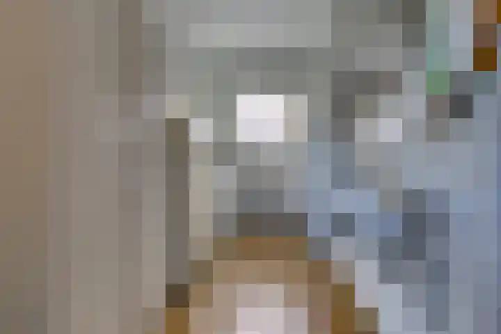 Munnekemoer Oost 3 Ter Apel thumbnail 33