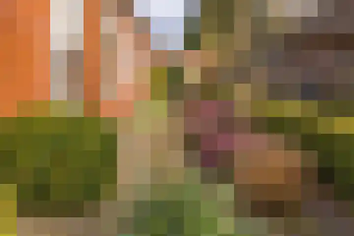 Munnekemoer Oost 3 Ter Apel thumbnail 4