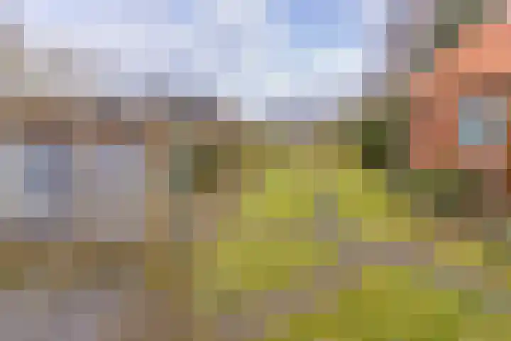 Munnekemoer Oost 3 Ter Apel thumbnail 40